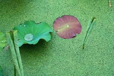 《女神异闻录3：Reload》实机画面泄露 展示学校等场景
